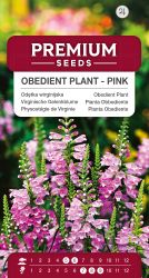 Obedient Plant Pink Seeds